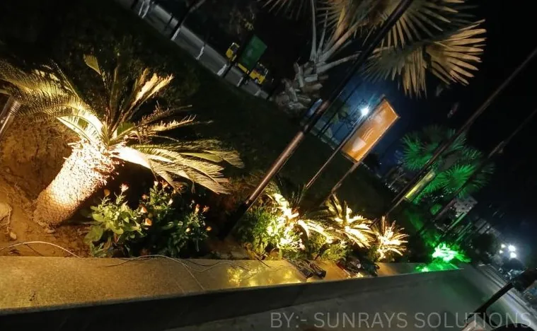 Garden Uplighting by Sunrays Solutions